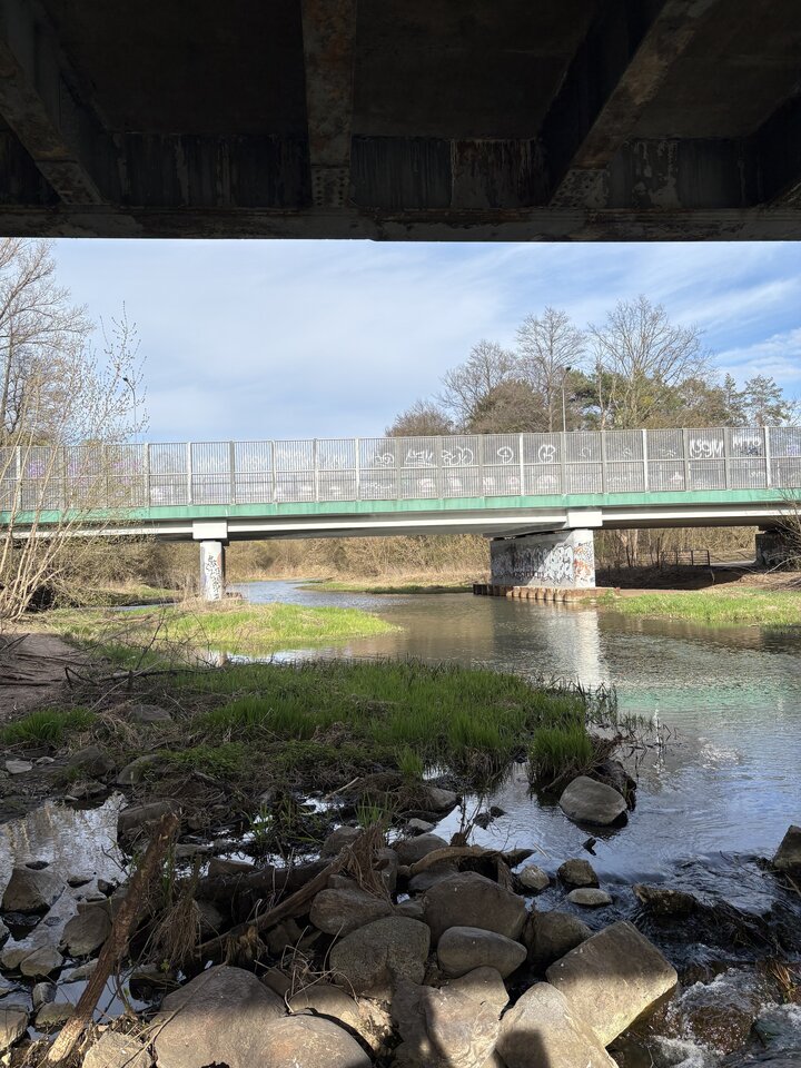 IMG_6768.jpeg - jakopo