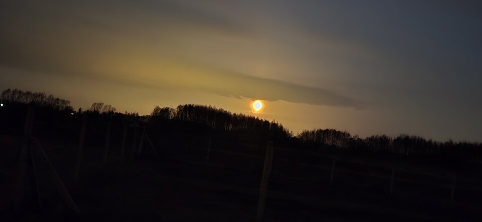 1000001525.jpg - BestX007