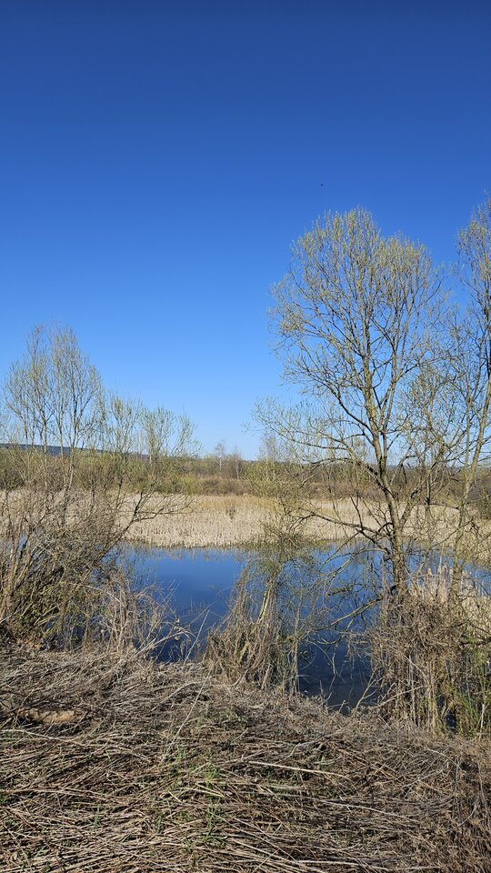 5.04.2026 Stadła - nowytomas