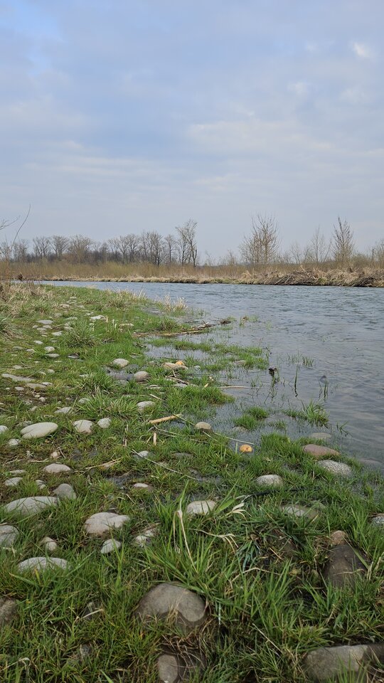 1000052564.jpg - nowytomas