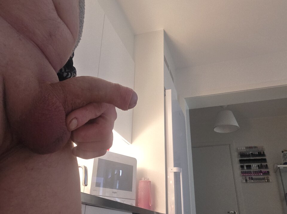 23047.jpg - Pansavage