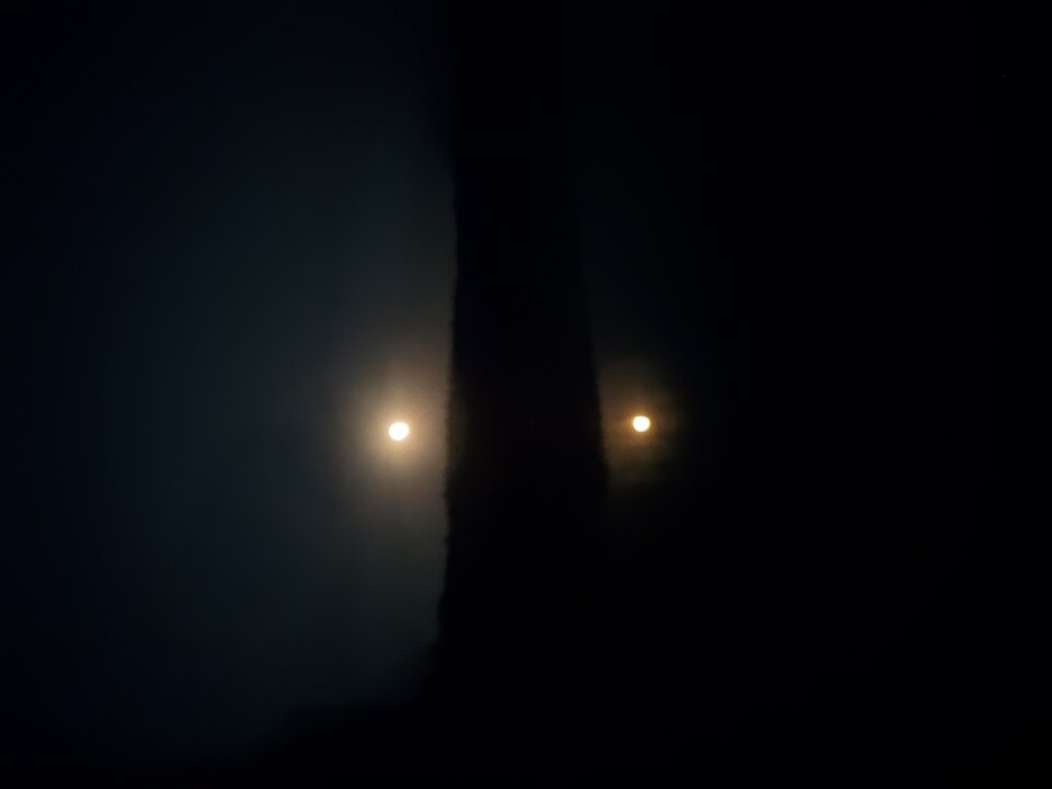 17748.jpg - Jack1994