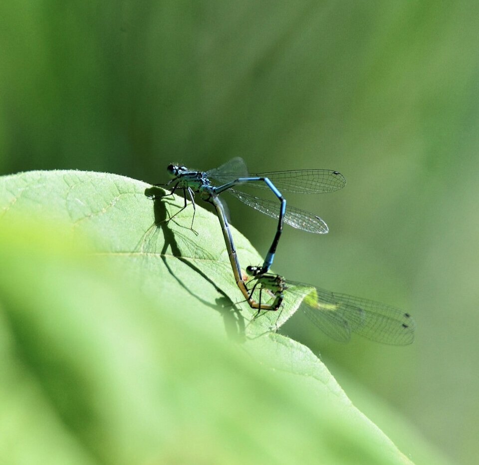 1000033894.jpg - TakijaCT