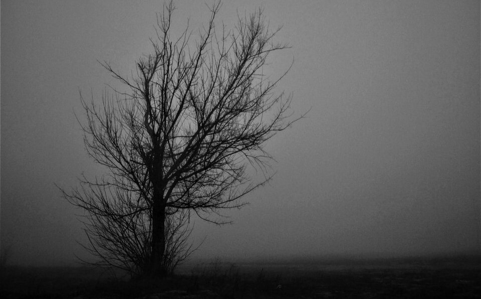 1000033884.jpg - TakijaCT