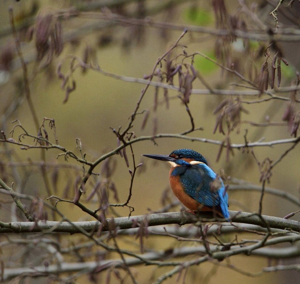 1000033880.jpg - TakijaCT