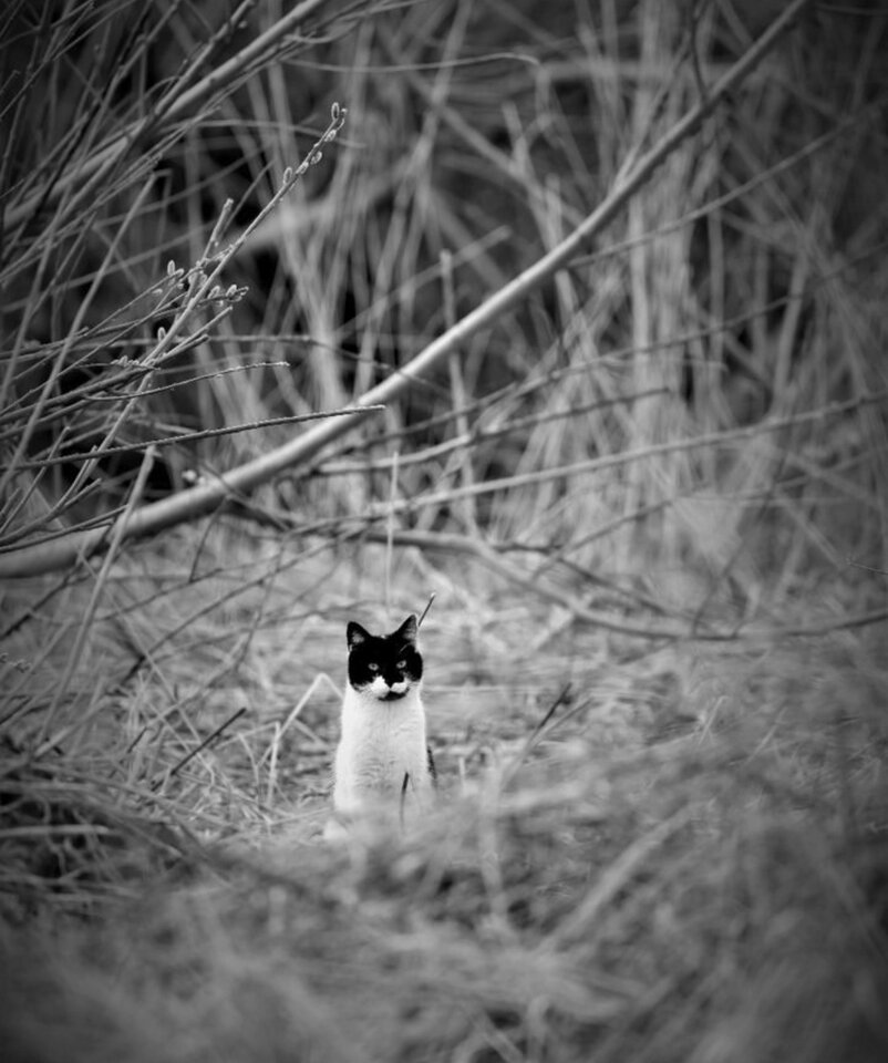 1000033858.jpg - TakijaCT