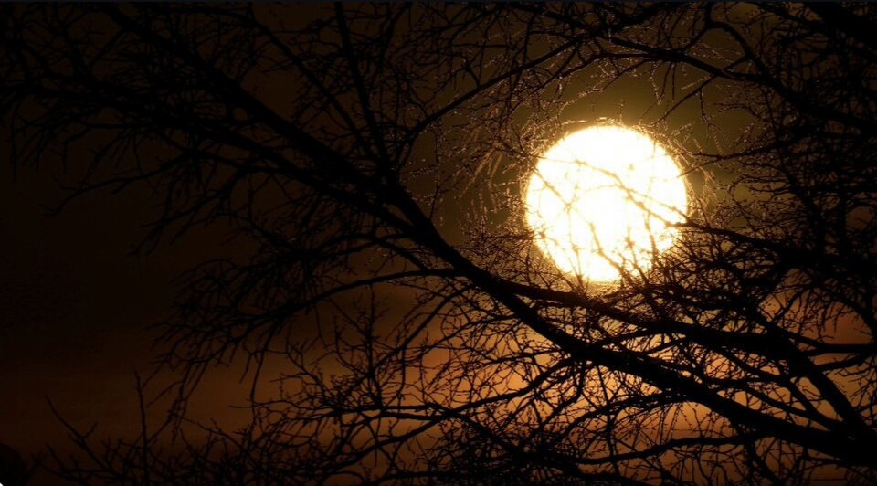 1000033870.jpg - TakijaCT