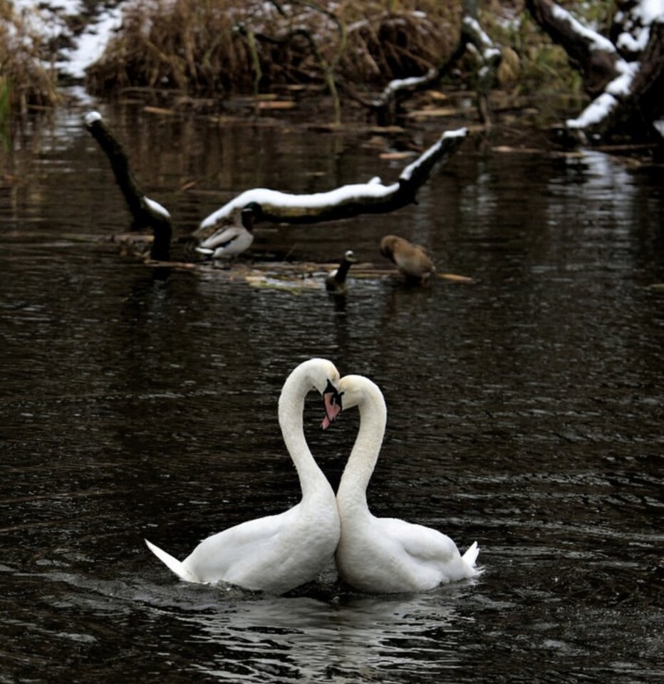 1000033874.jpg - TakijaCT