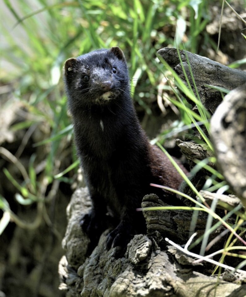 1000033860.jpg - TakijaCT