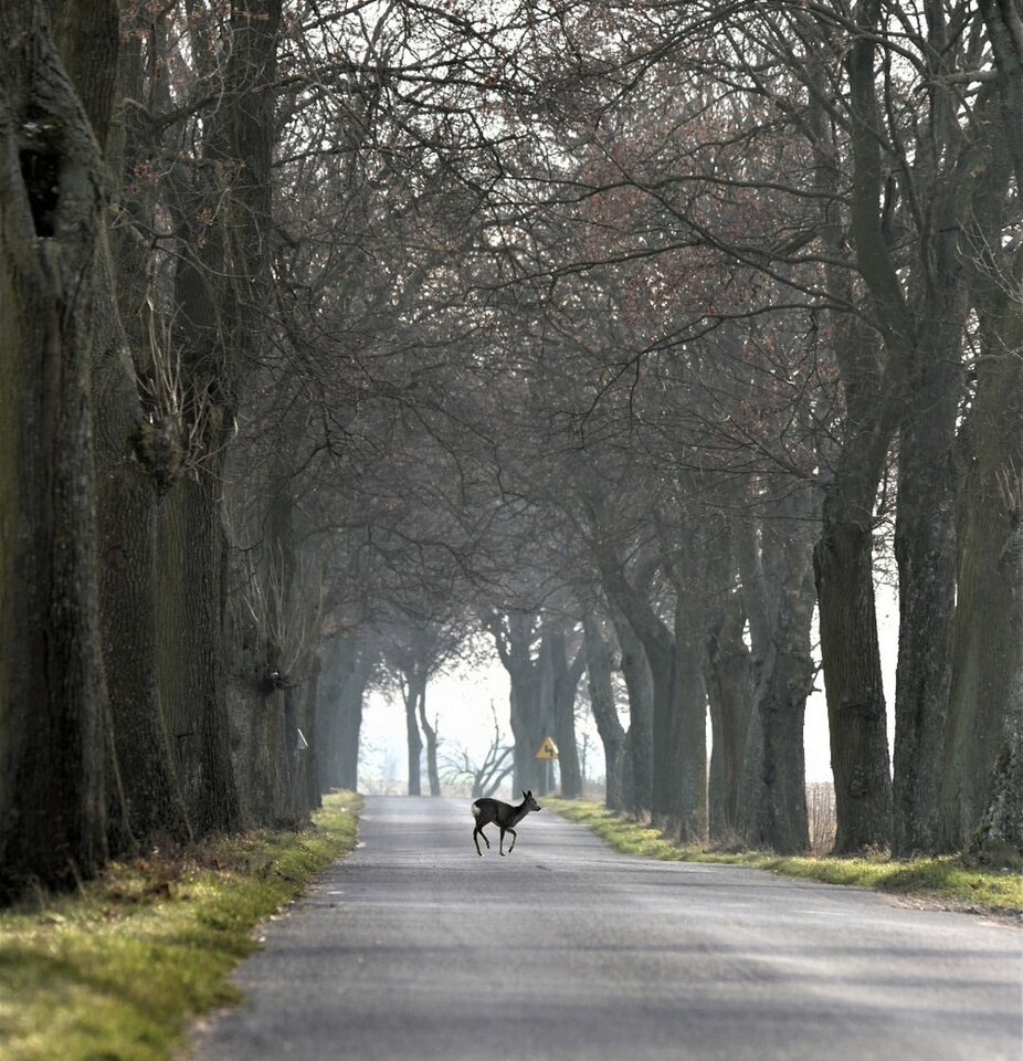 1000033876.jpg - TakijaCT