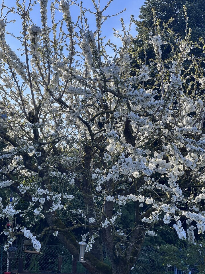 IMG_5612.jpeg - nrw670n