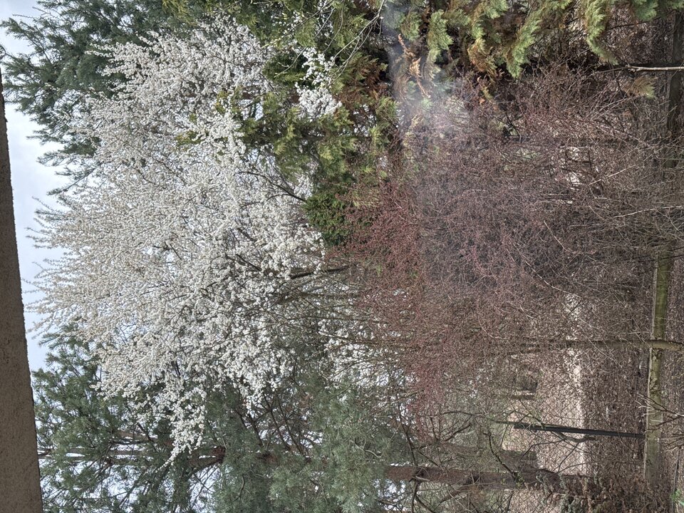 image.jpg - StaramSieJakMoge