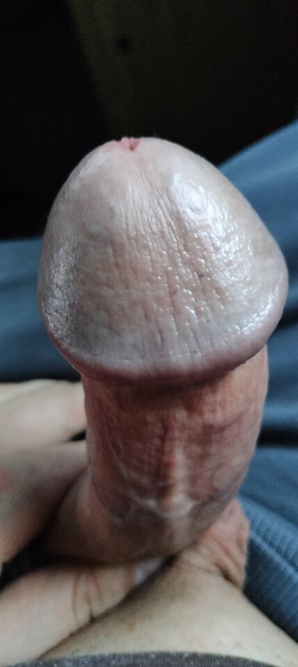 1000046480.jpg - szatan24