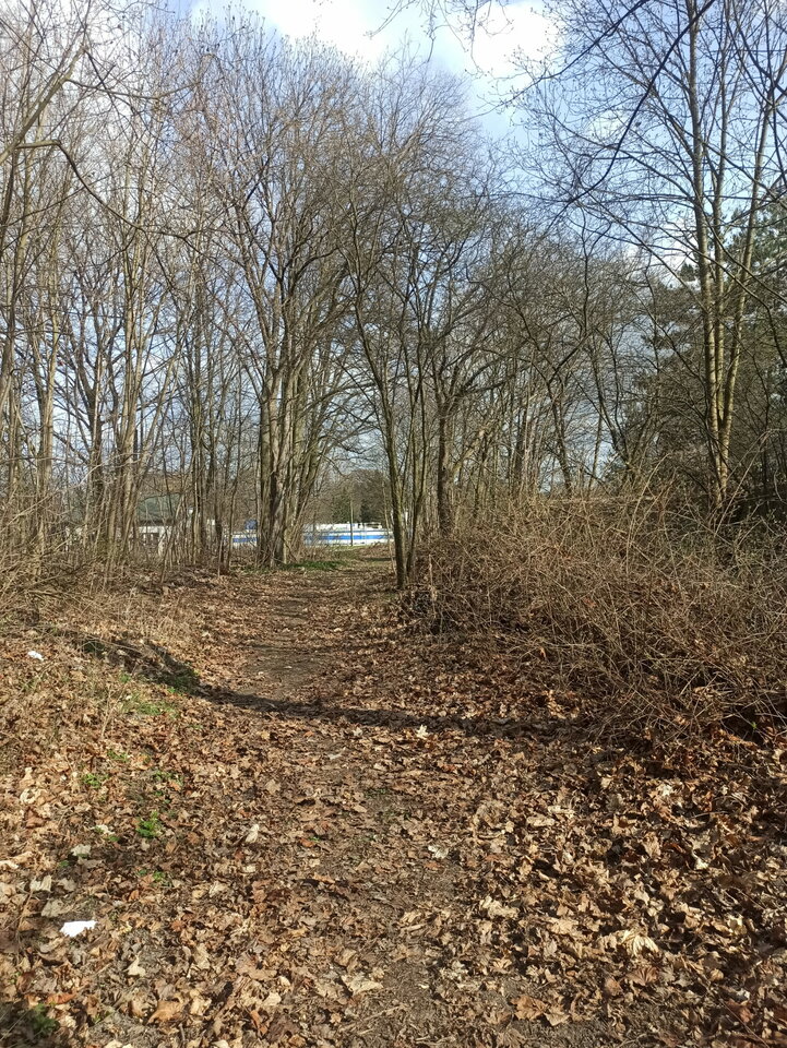 IMG_20260401_061011.jpg - dajpolizacipy