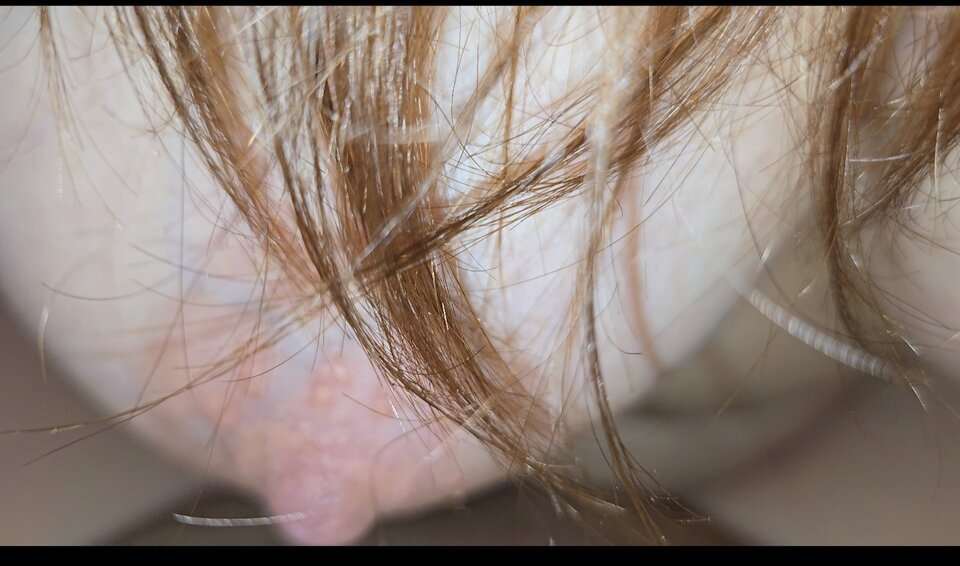 Screenshot_20260408_215033_Gallery.jpg - PataLdz