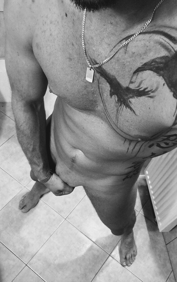 Messenger_creation_559573779208395.jpeg - WhyDuck35