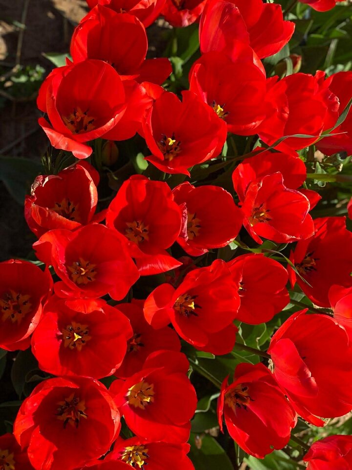 att.Bnets5b5O8qxe5IlDdPj7E2CH0agKuRjoF8kqEAkMrc.jpeg - destroy