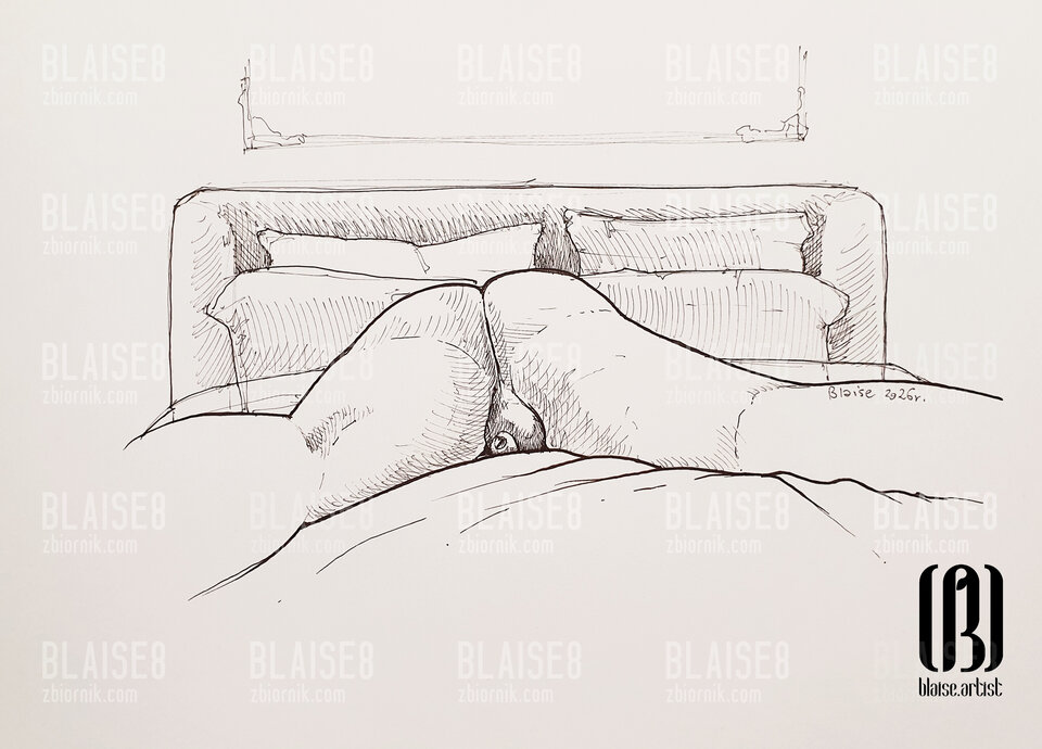 Art. No. 389 - blaise8