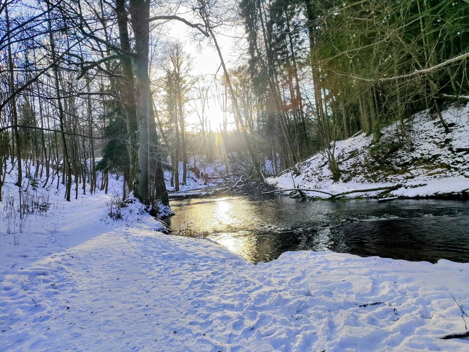 1000027886.jpg - mikimajki97