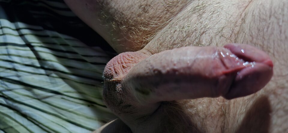 1000105981.jpg - KRUK999