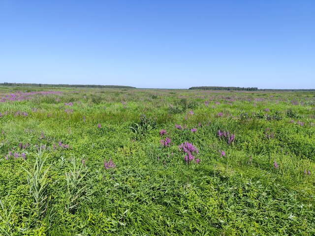 Dlaparyhotkirogaczaq