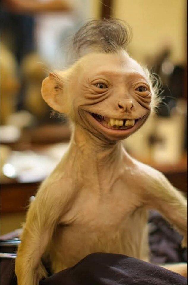 1000010959.jpg - WielebnyKataryniarzPucykut