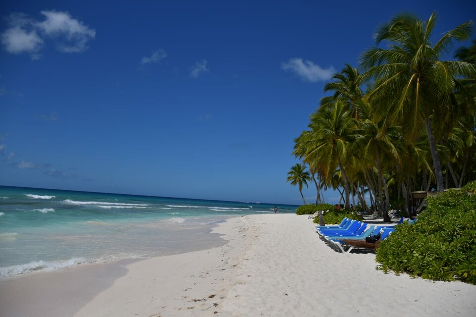 1000007352.jpg - Dopoprawki