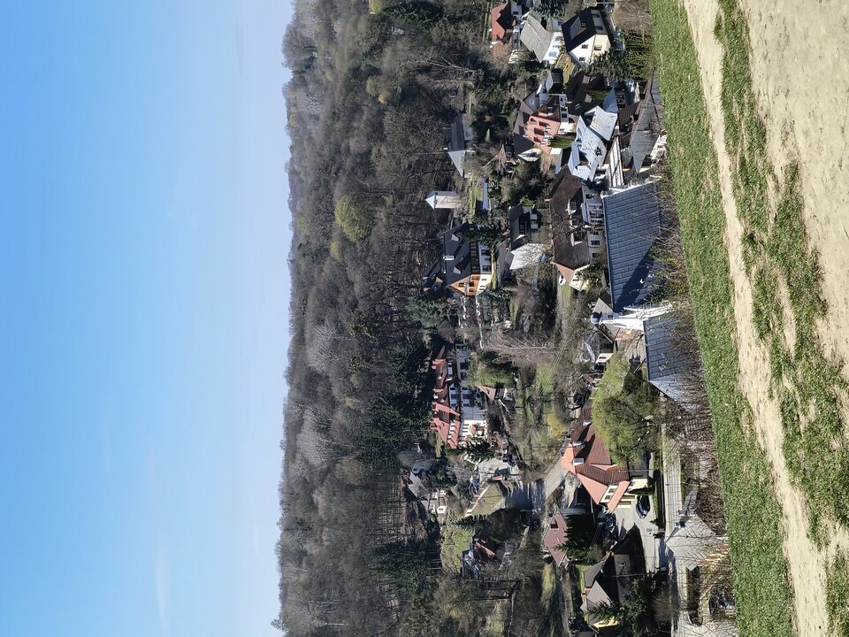 1000007417.jpg - Dopoprawki