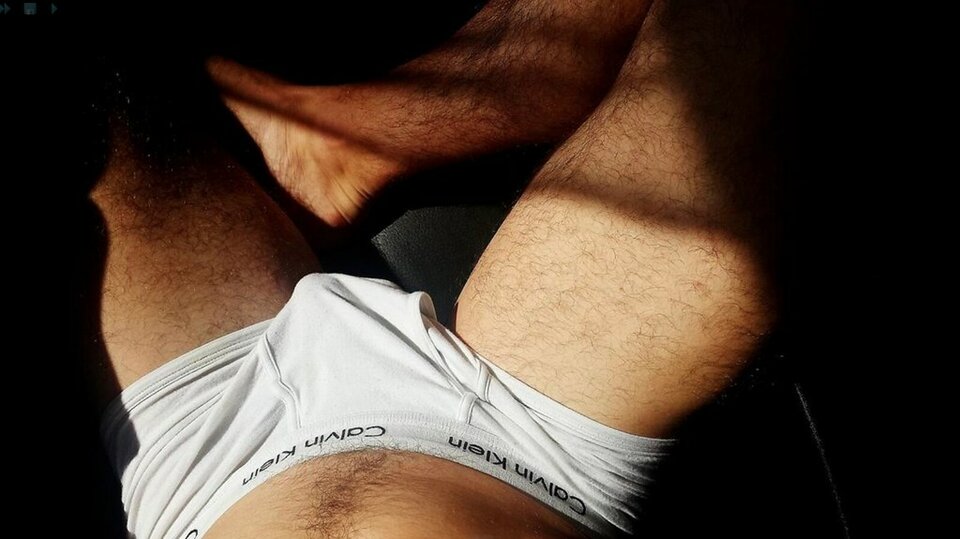 white.jpg - fazi_fazer