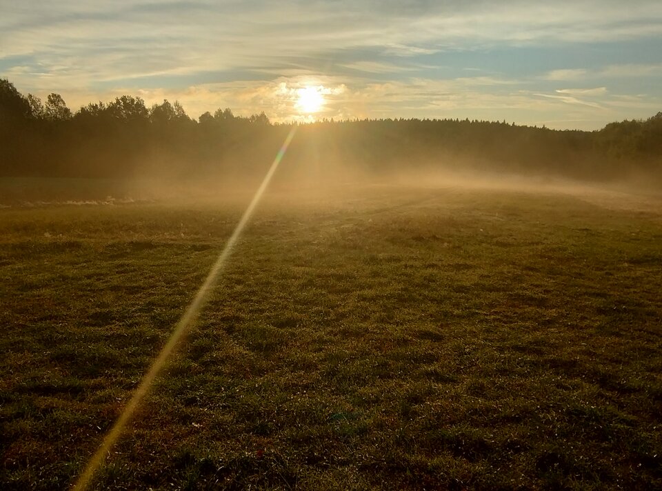 1000003050.jpg - Manolo331