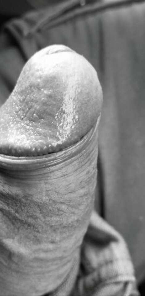 1454.jpg - Rozpieszczacz6969