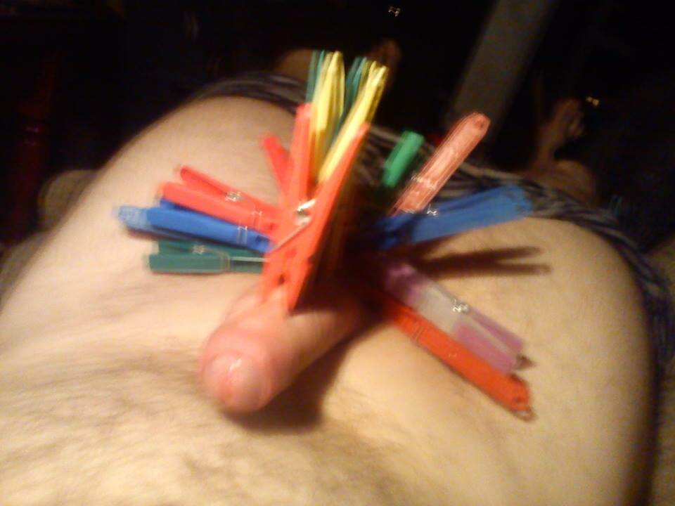 1000003406.jpg - Hirvi