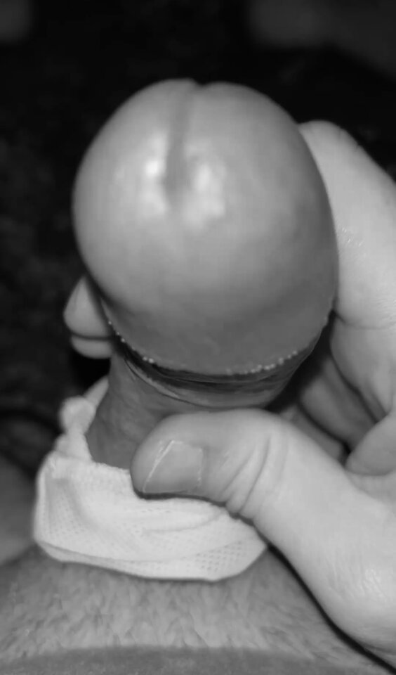 IMG_3214.jpeg - MrMarcos