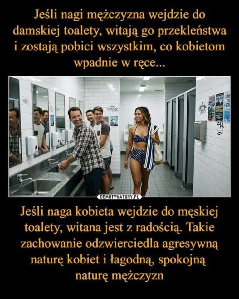 IMG_7382.jpeg - Hubertus21