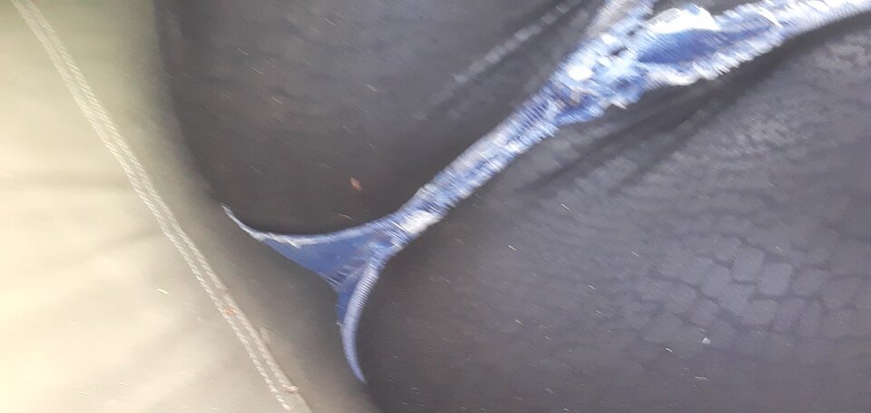 20260407_143404.jpg - Ninasex1304