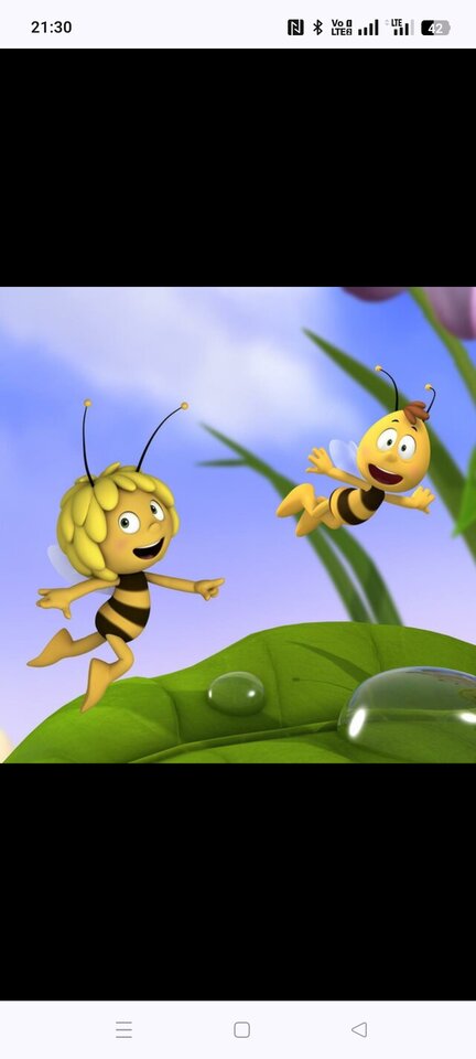 1000006687.jpg - Pszczelarzz