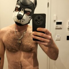 WhatsApp Image 2026-04-10 at 23.16.27.jpeg