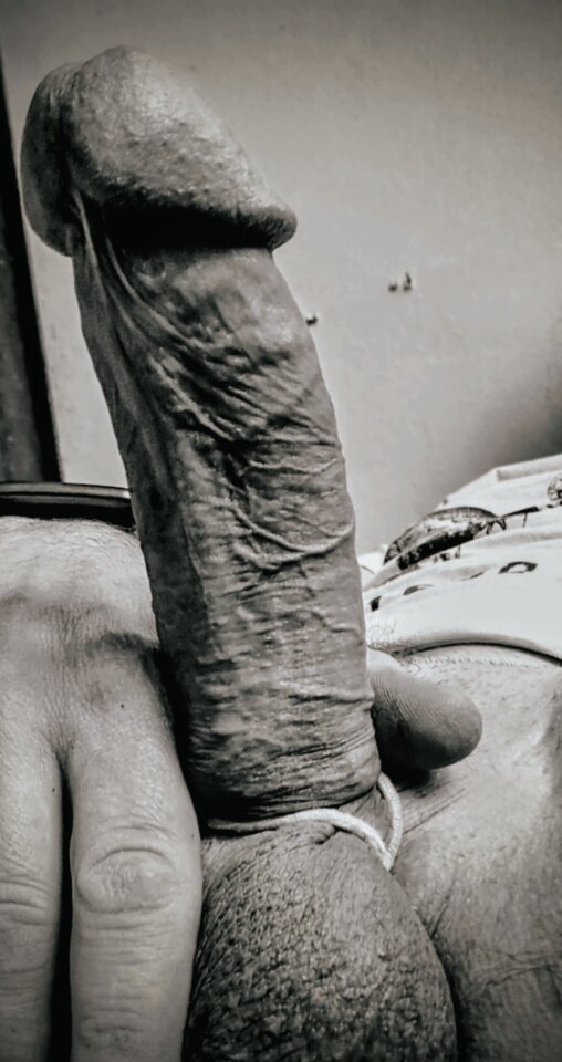 IMG_20260411_024235.jpg - LIBIEeksperymentyORAL