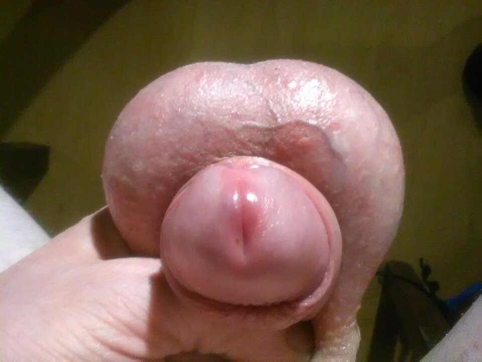 IMG_20260410_225427.jpg - egon1000