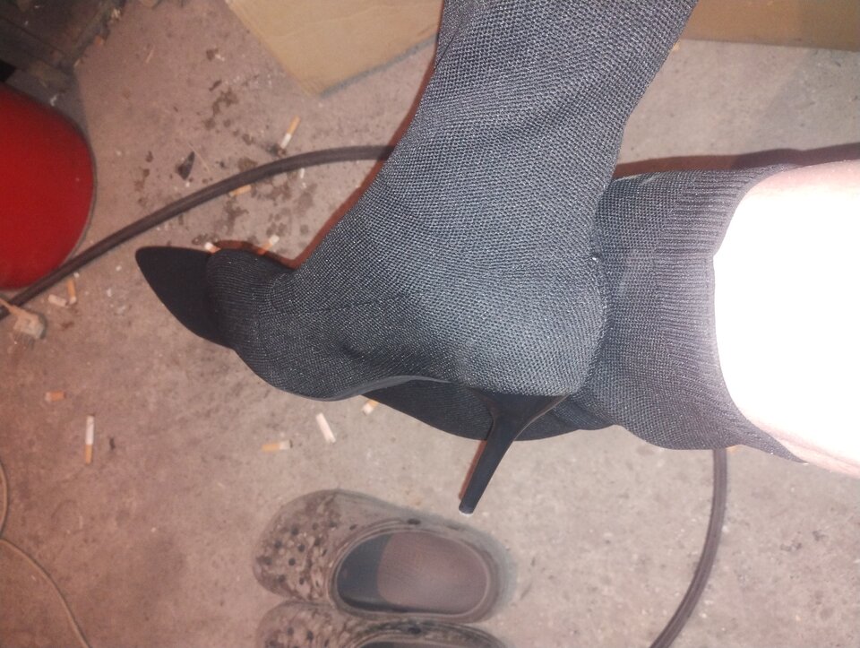 IMG_20260410_220255095.jpg - Pinguary2345