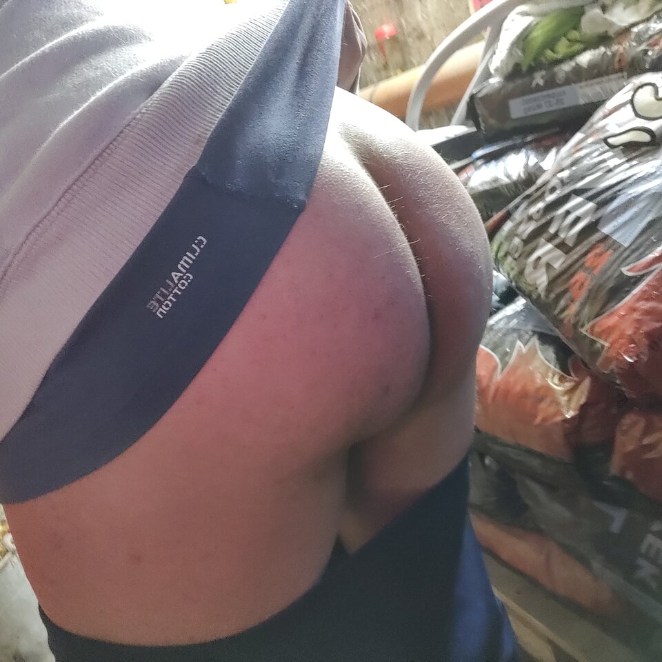 IMG_20260411_082508.jpg - Nibybisex82