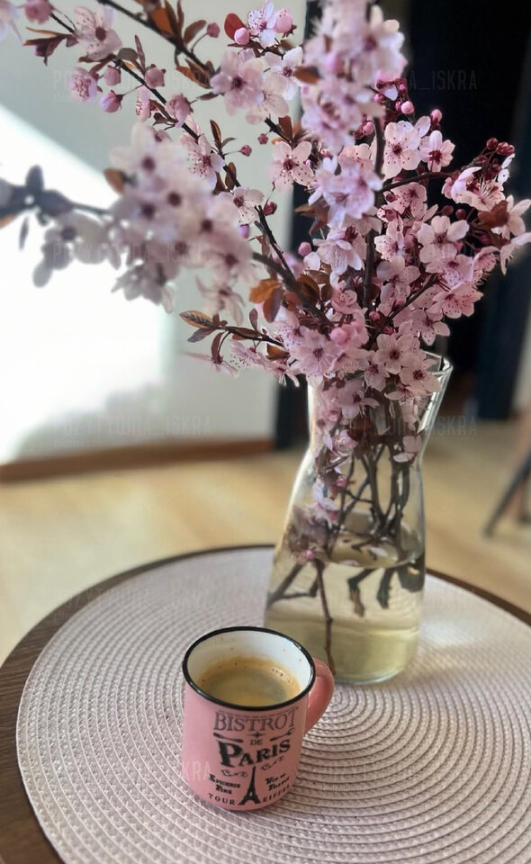 Screenshot_20260410_092800_Facebook.jpg - Pozytywna_Iskra