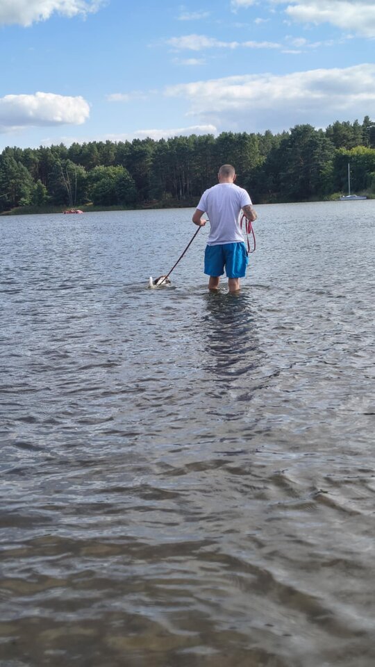 1000014085.jpg - Rafonix1982