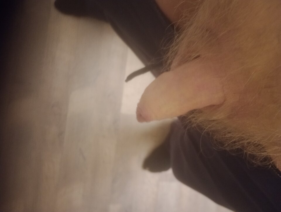 IMG_20260411_131923833_MFNR.jpg - ROBWEN86