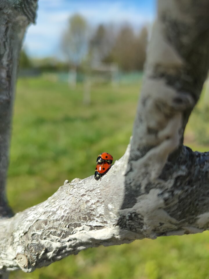 1000016288.jpg - Lifeis