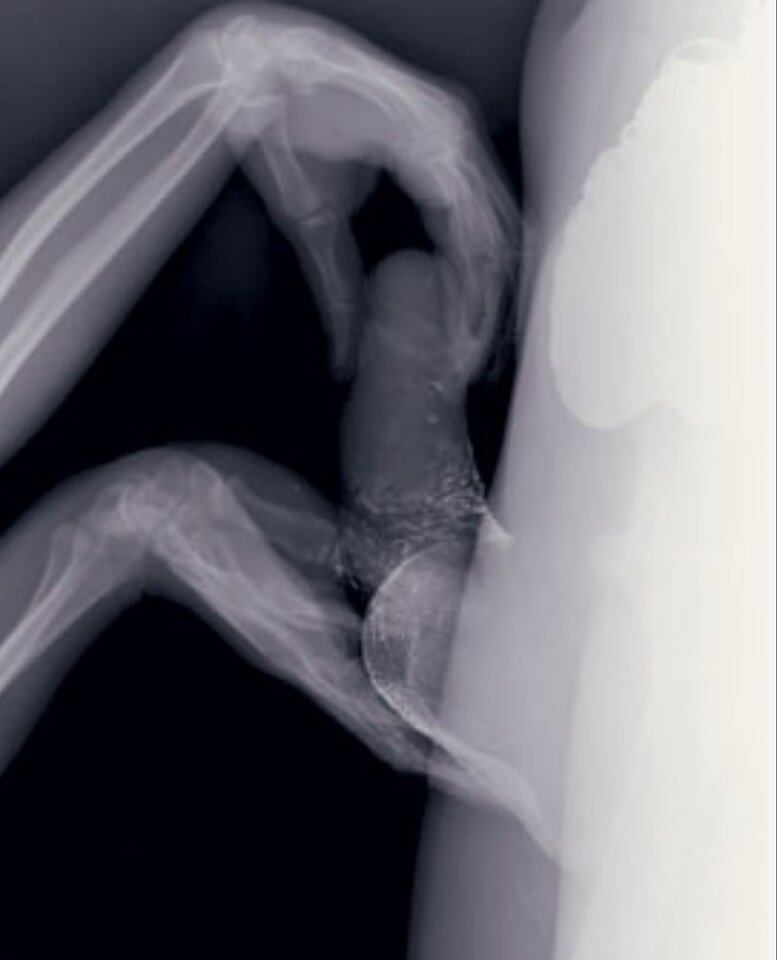 1000044533.jpg - Stroe777