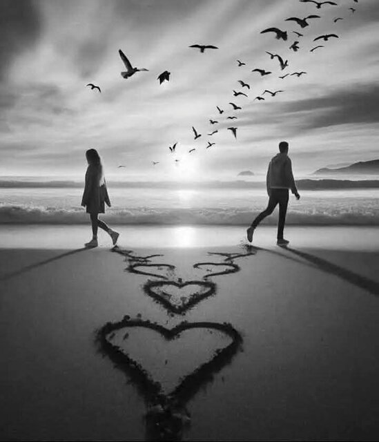 1000050321.jpg - Pronarrki