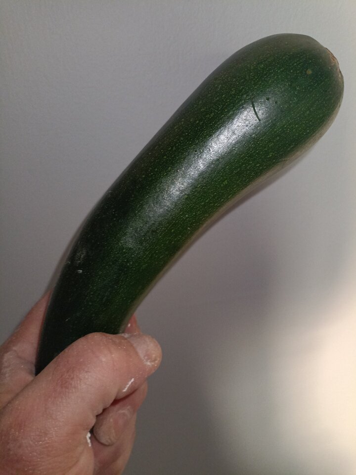 1000001676.jpg - AlanBu