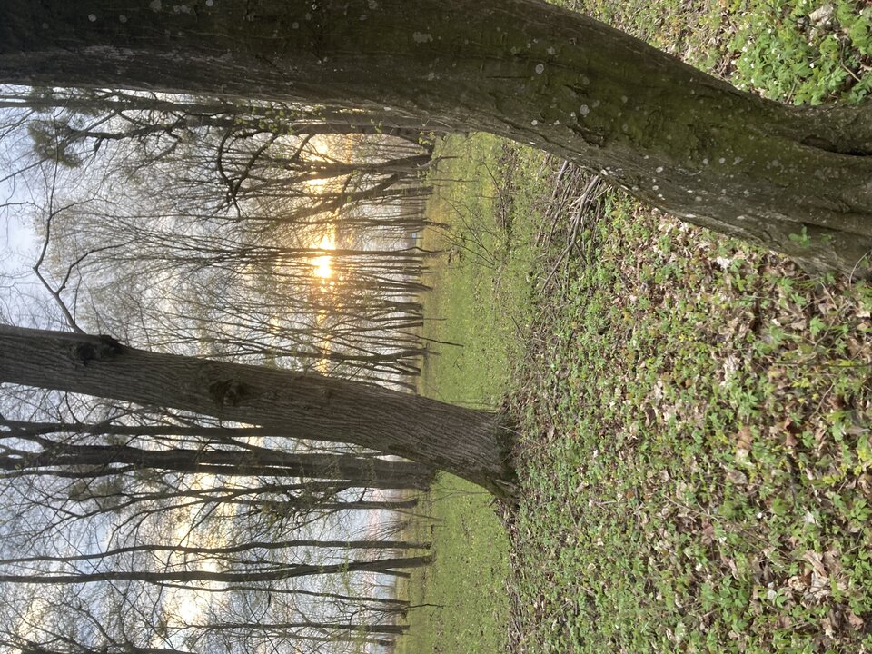 IMG_1378.jpeg - Onnnnnnn1985