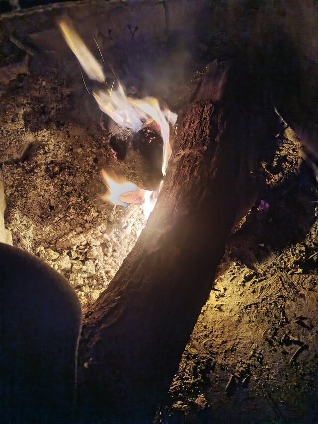 FantazjeJaFacetBiUniPoznam